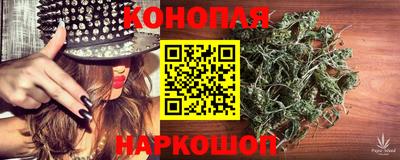 Альфа ПВП Краснознаменск