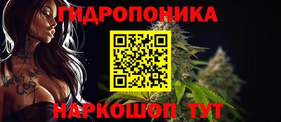 Альфа ПВП Краснознаменск