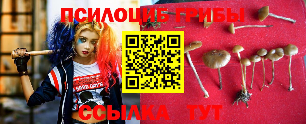 Псилоцибиновые грибы прущие грибы Учалы