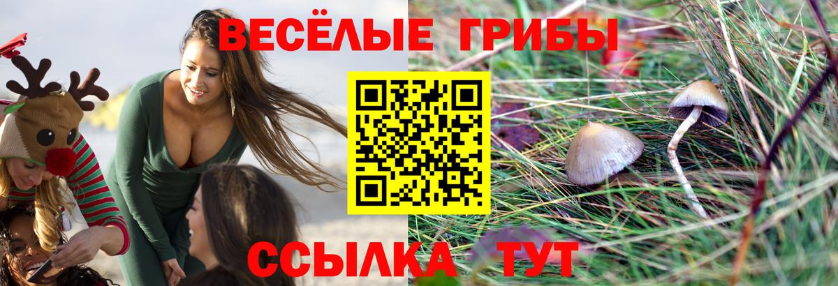 Псилоцибиновые грибы мицелий  Вход с VPN  Учалы 